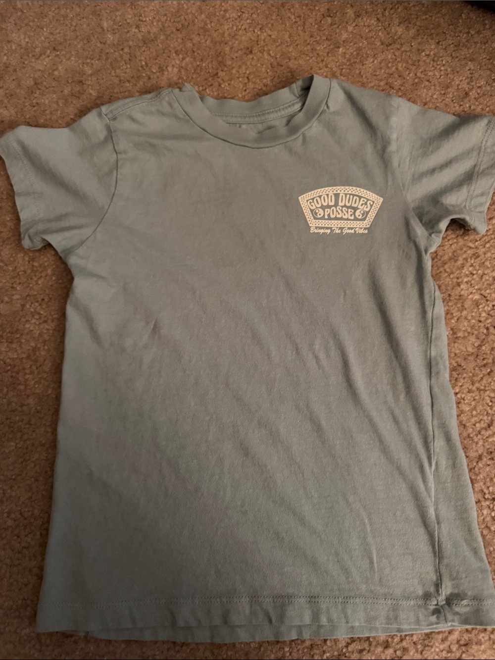 Tiny Whales “Good Dudes Posse” Kids Short Sleeve Tee in Sage Green